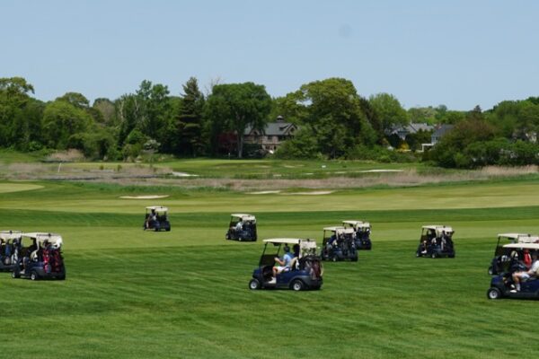 carts scattering1 Large