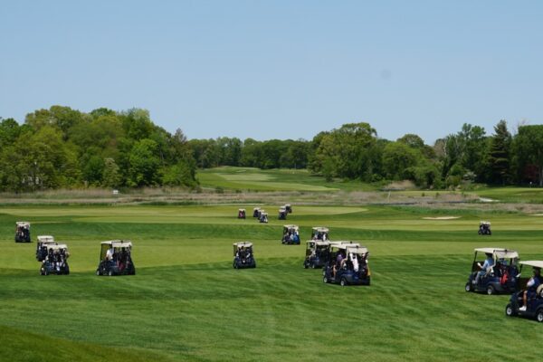 carts scattering5 Large